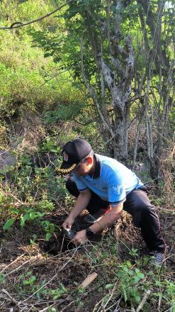 PEMDES Tinga-tinga Gelar Kegiatan Penanaman Pohon dalam Rangka Gotong Royong Semesta Berencana
